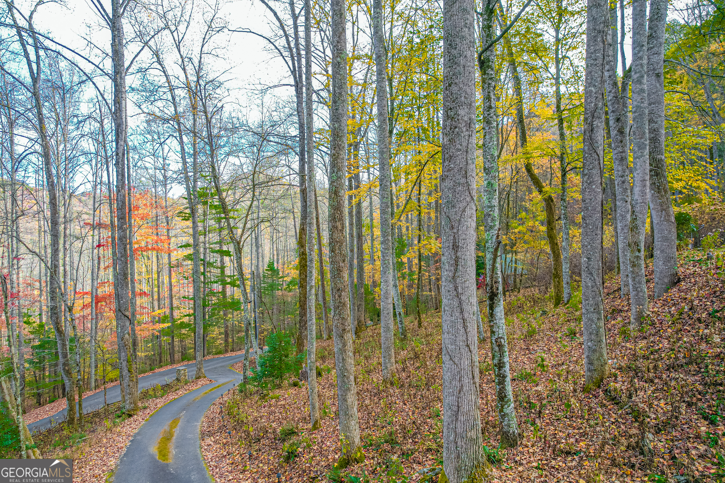 100 Windsong Lane Rabun Gap, GA 30568 - Photo 26 of 80