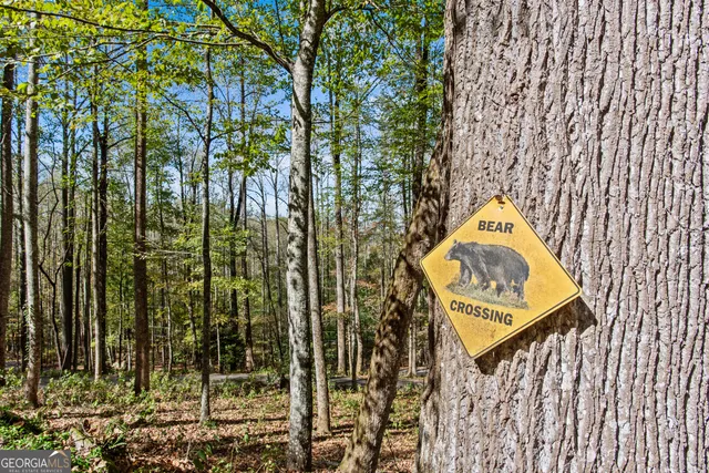 $495,000 | 100 Windsong Lane, Rabun Gap, GA 30568