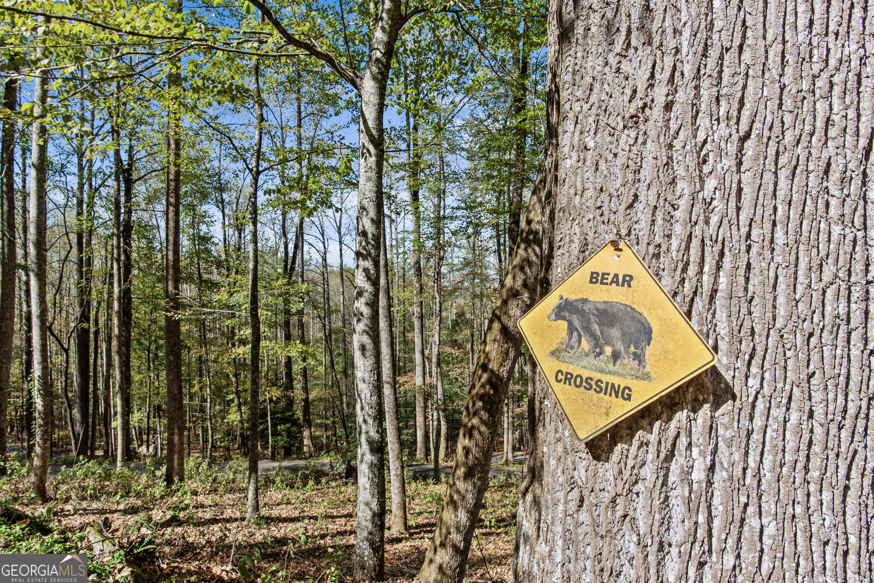 100 Windsong Lane Rabun Gap, GA 30568 - Photo 27 of 80