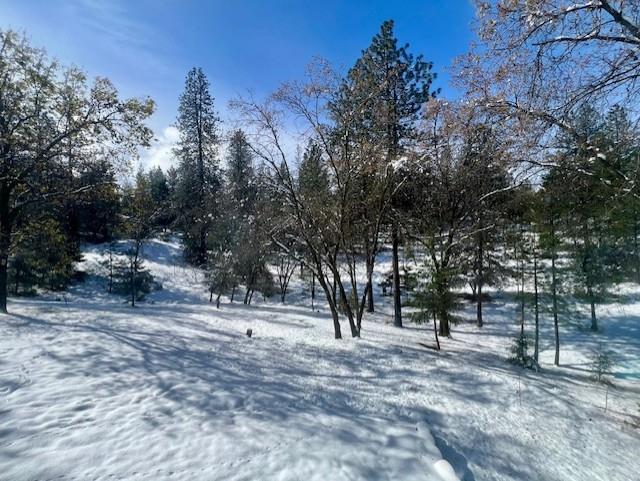 24275 Grand View Avenue Colfax, CA 95713 - Photo 29 of 29 Recent snowfall in Colfax