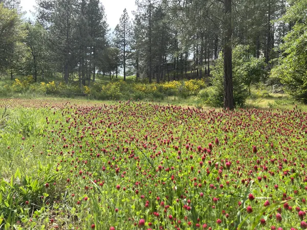$699,000 | 24275 Grand View Avenue, Colfax, CA 95713