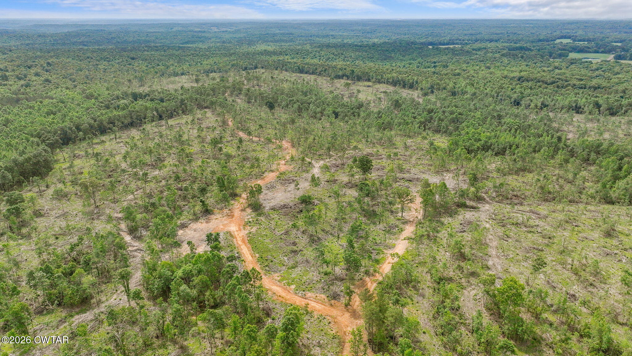 0 Wynn Road Big Sandy, TN 38221 - Photo 23 of 28 21-web-or-mls-DJI_0077