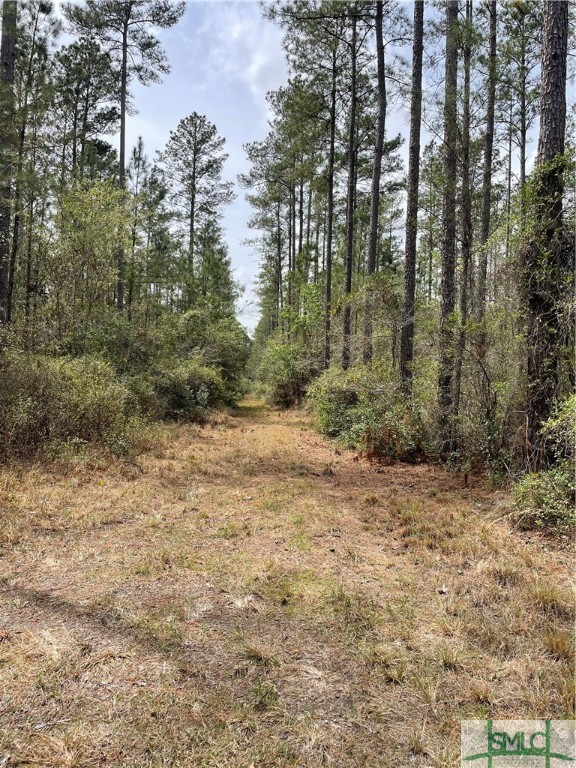 0 Pleasant Acres Road Springfield, GA 31329 - Photo 12 of 17
