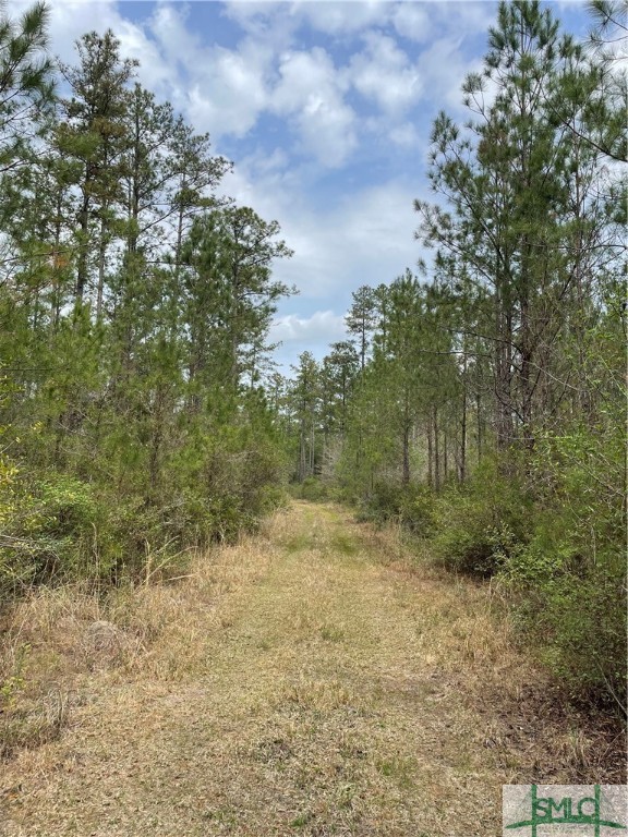 0 Pleasant Acres Road Springfield, GA 31329 - Photo 14 of 17