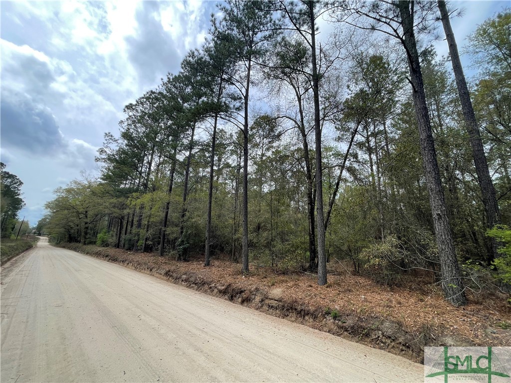 0 Pleasant Acres Road Springfield, GA 31329 - Photo 17 of 17