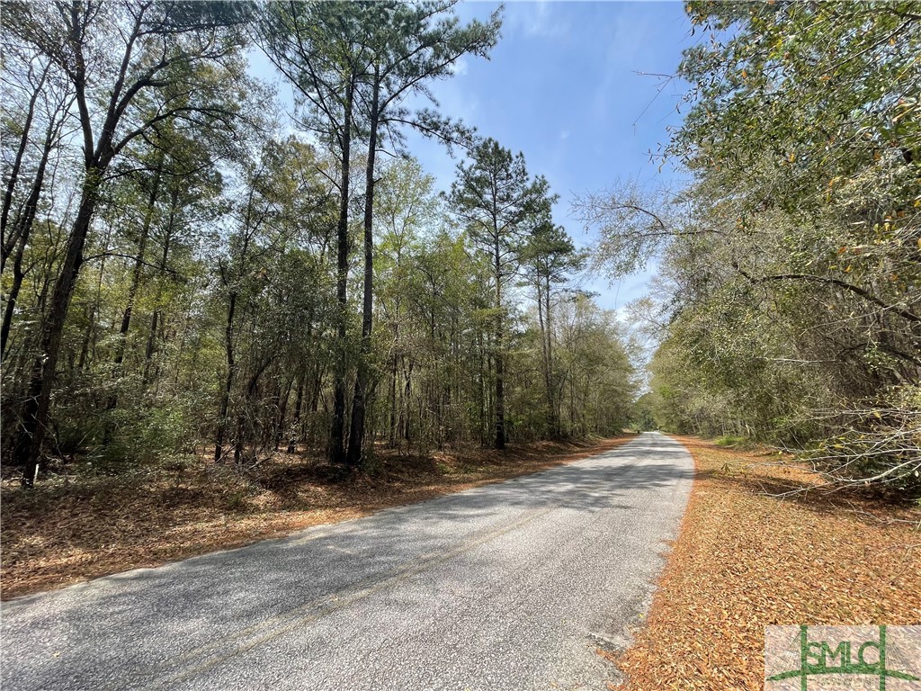 0 Pleasant Acres Road Springfield, GA 31329 - Photo 2 of 17