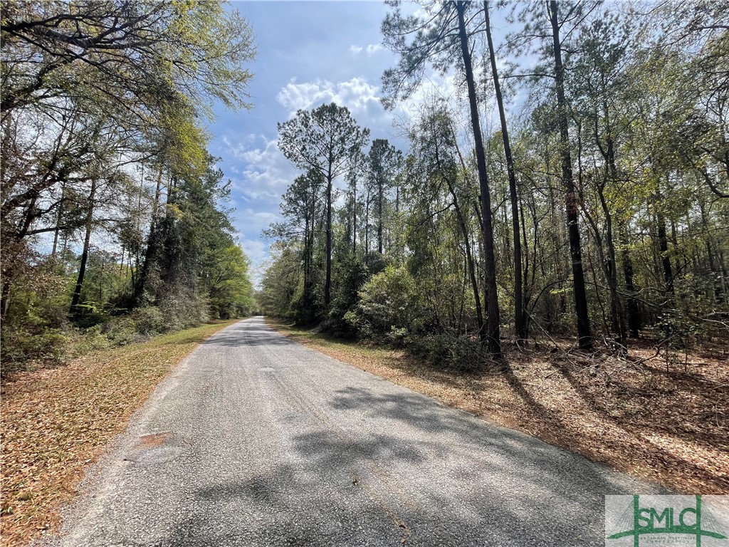 0 Pleasant Acres Road Springfield, GA 31329 - Photo 3 of 17