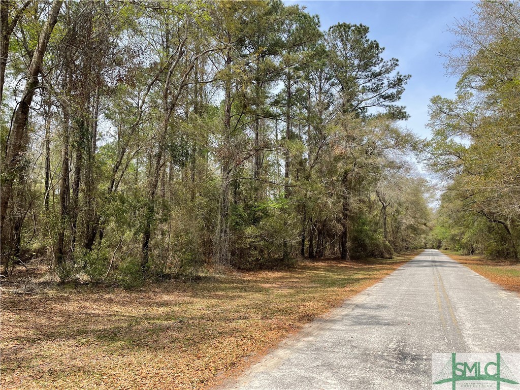 0 Pleasant Acres Road Springfield, GA 31329 - Photo 4 of 17