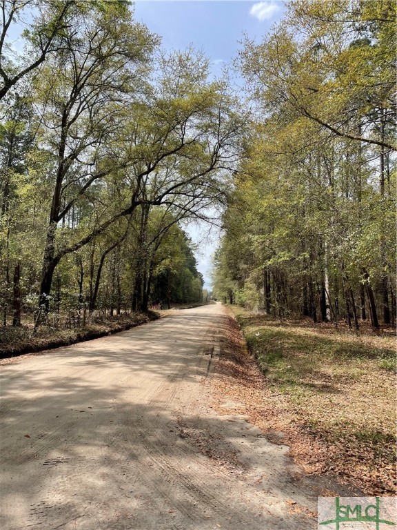 0 Pleasant Acres Road Springfield, GA 31329 - Photo 5 of 17