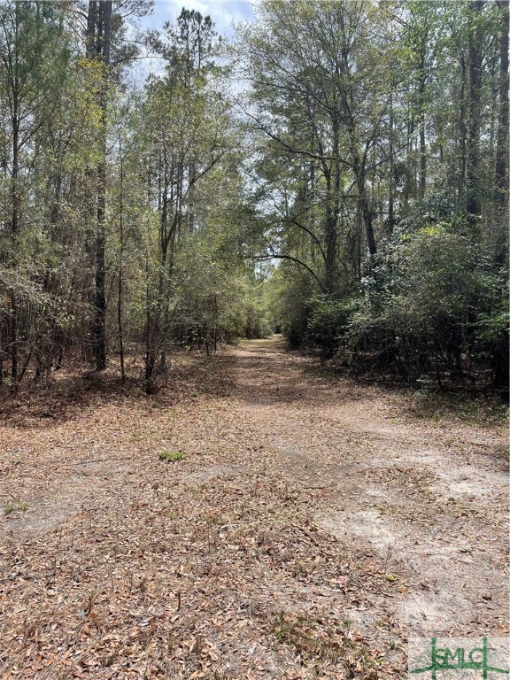 0 Pleasant Acres Road Springfield, GA 31329 - Photo 6 of 17