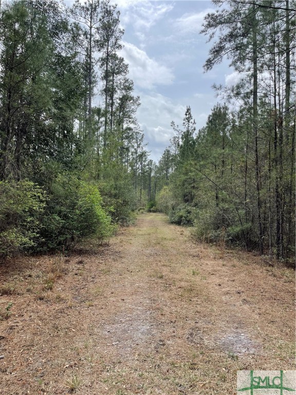 0 Pleasant Acres Road Springfield, GA 31329 - Photo 8 of 17