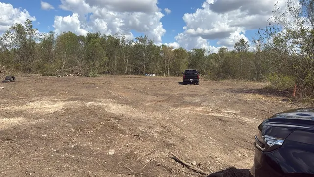 a view of a backyard