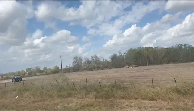 a view of a dry yard