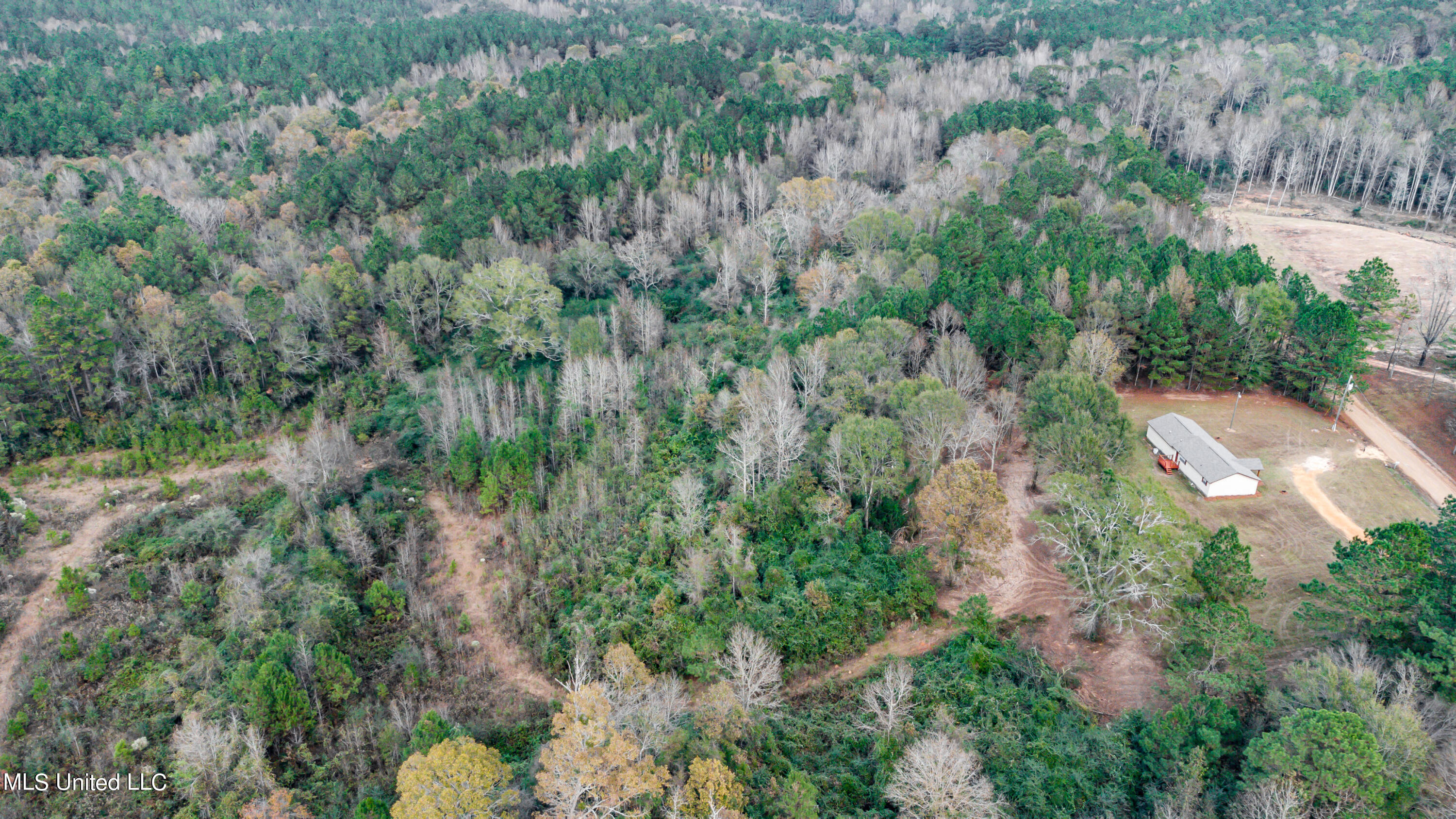 Mcnair Springs Road Magee, MS 39111 - Photo 8 of 13 283 McNair Springs Rd drone-20
