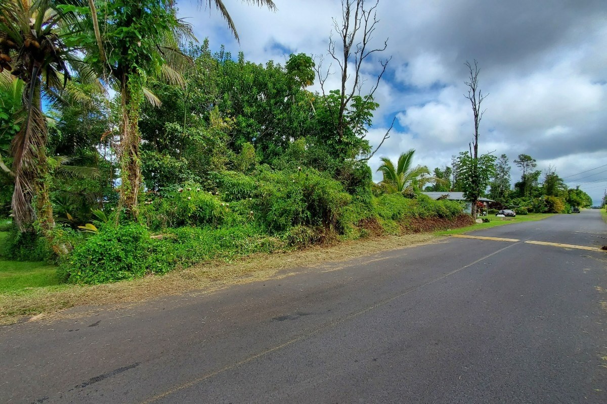 21 Lehua Drive Pahoa, HI 96778 - Photo 2 of 5 a view of a street with a house