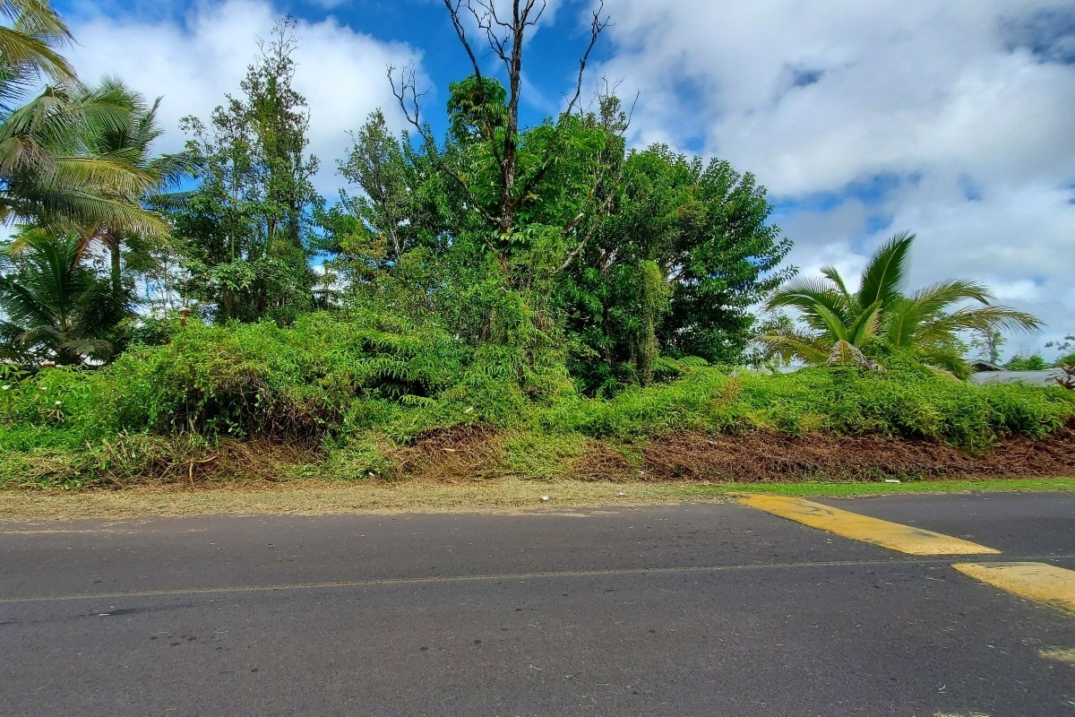 21 Lehua Drive Pahoa, HI 96778 - Photo 3 of 5