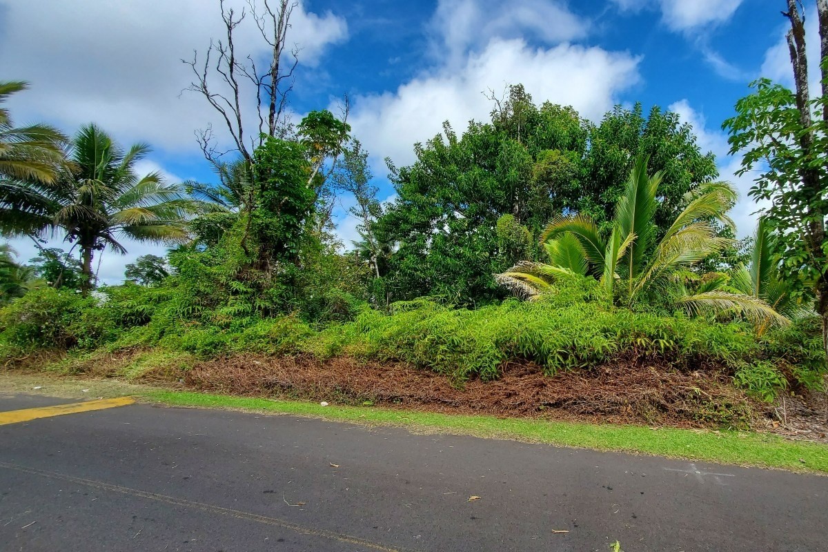 21 Lehua Drive Pahoa, HI 96778 - Photo 4 of 5 a view of a yard with plants and large trees