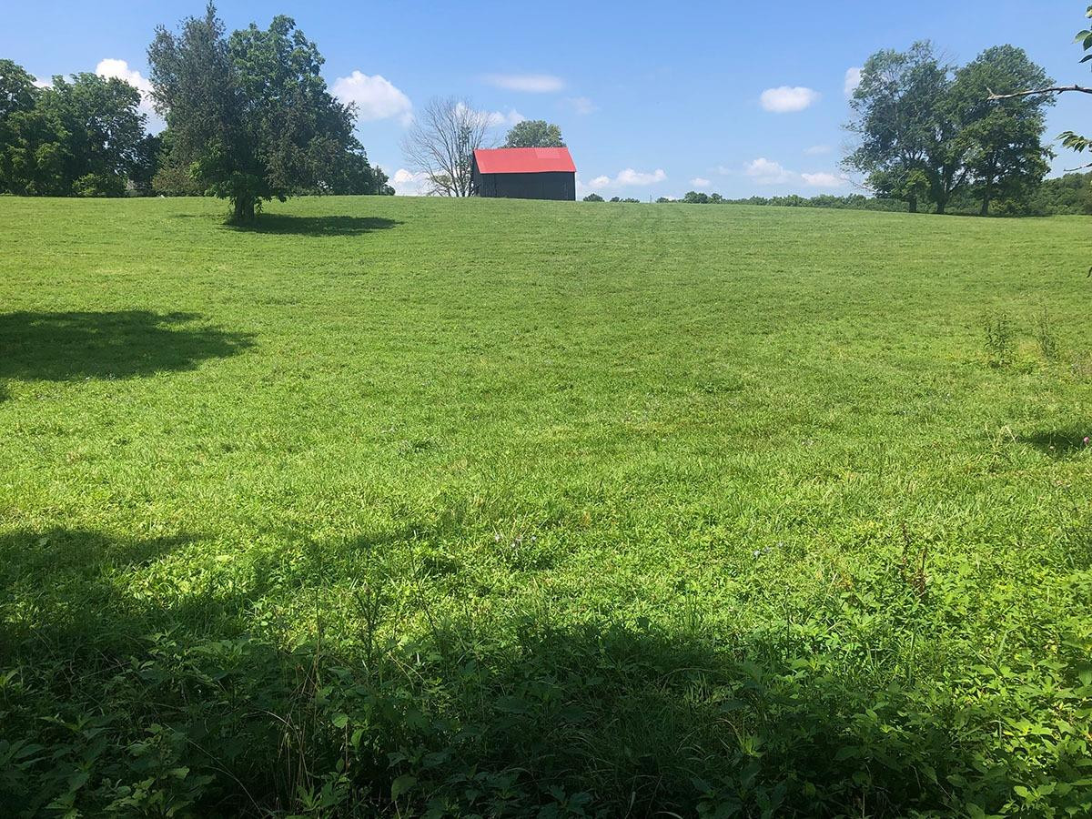 1081 Stoney Point Road Paris, KY 40361 - Photo 2 of 8 Photo 2