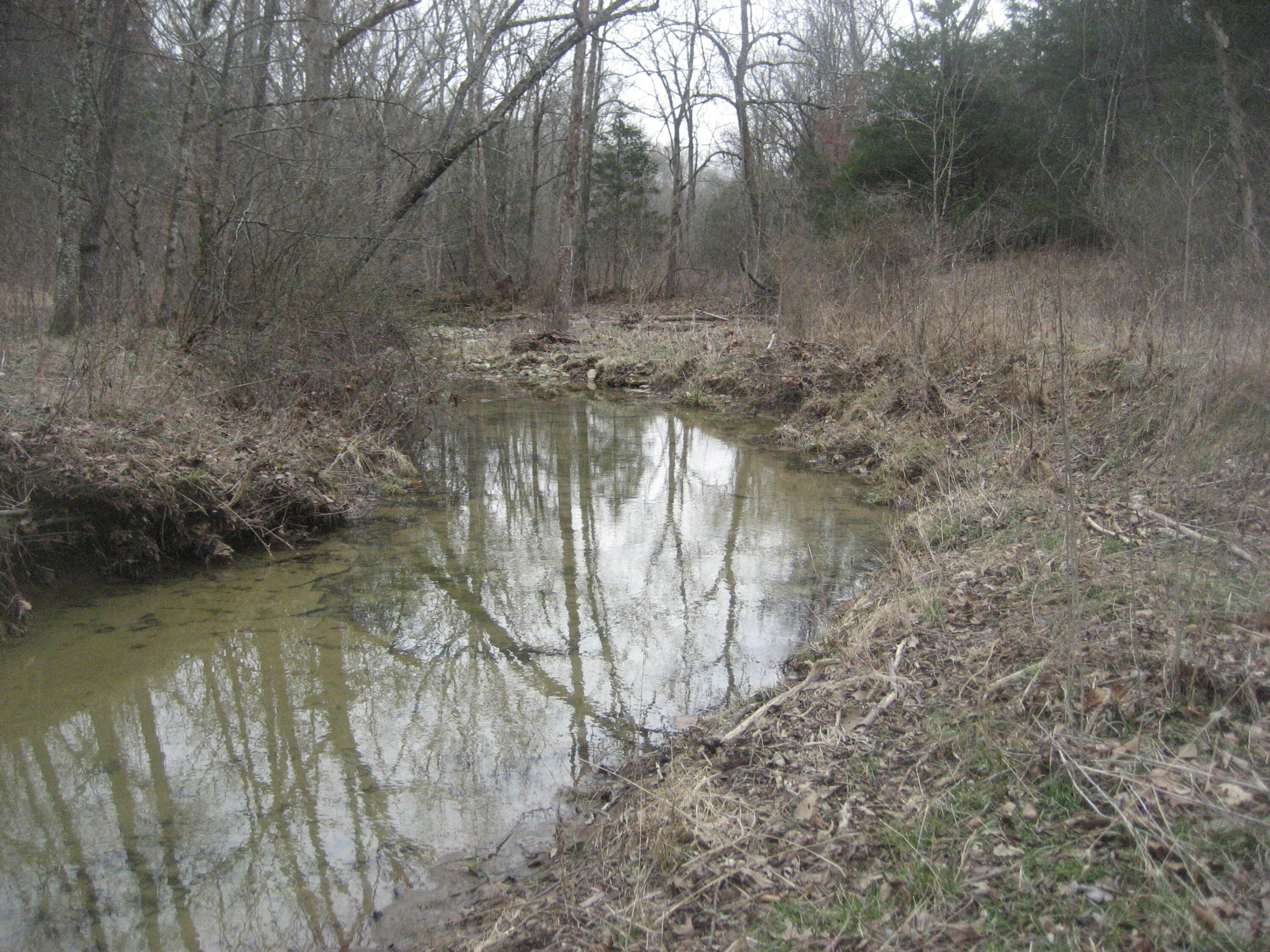1235 Rutherford School Road Lawrenceburg, KY 40342 - Photo 18 of 31 IMG_1358