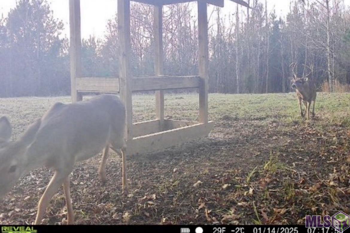 655 Oil Well Road Fayette, MS 39069 - Photo 27 of 58