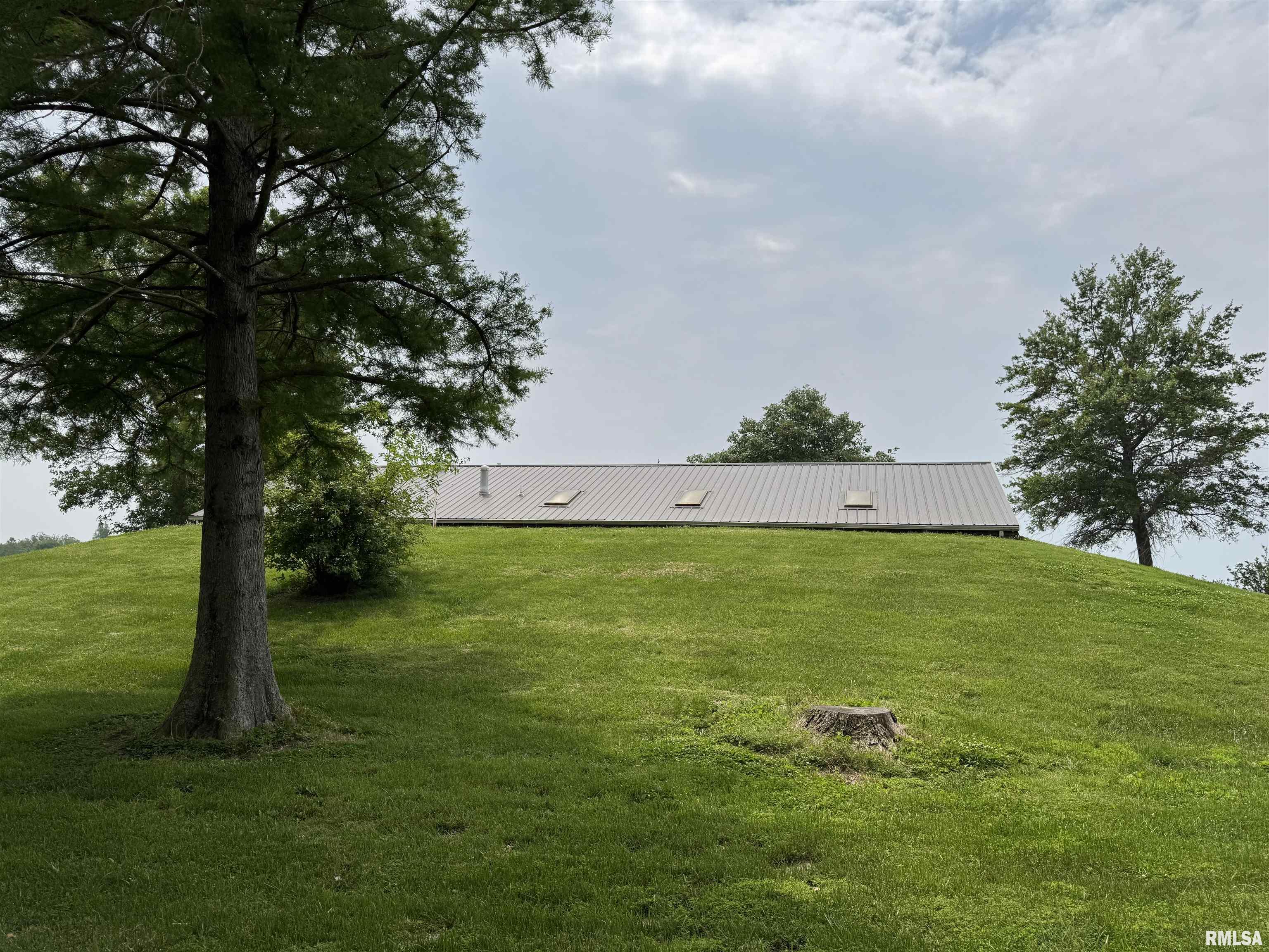 3100 Ava Road Murphysboro, IL 62966 - Photo 4 of 60