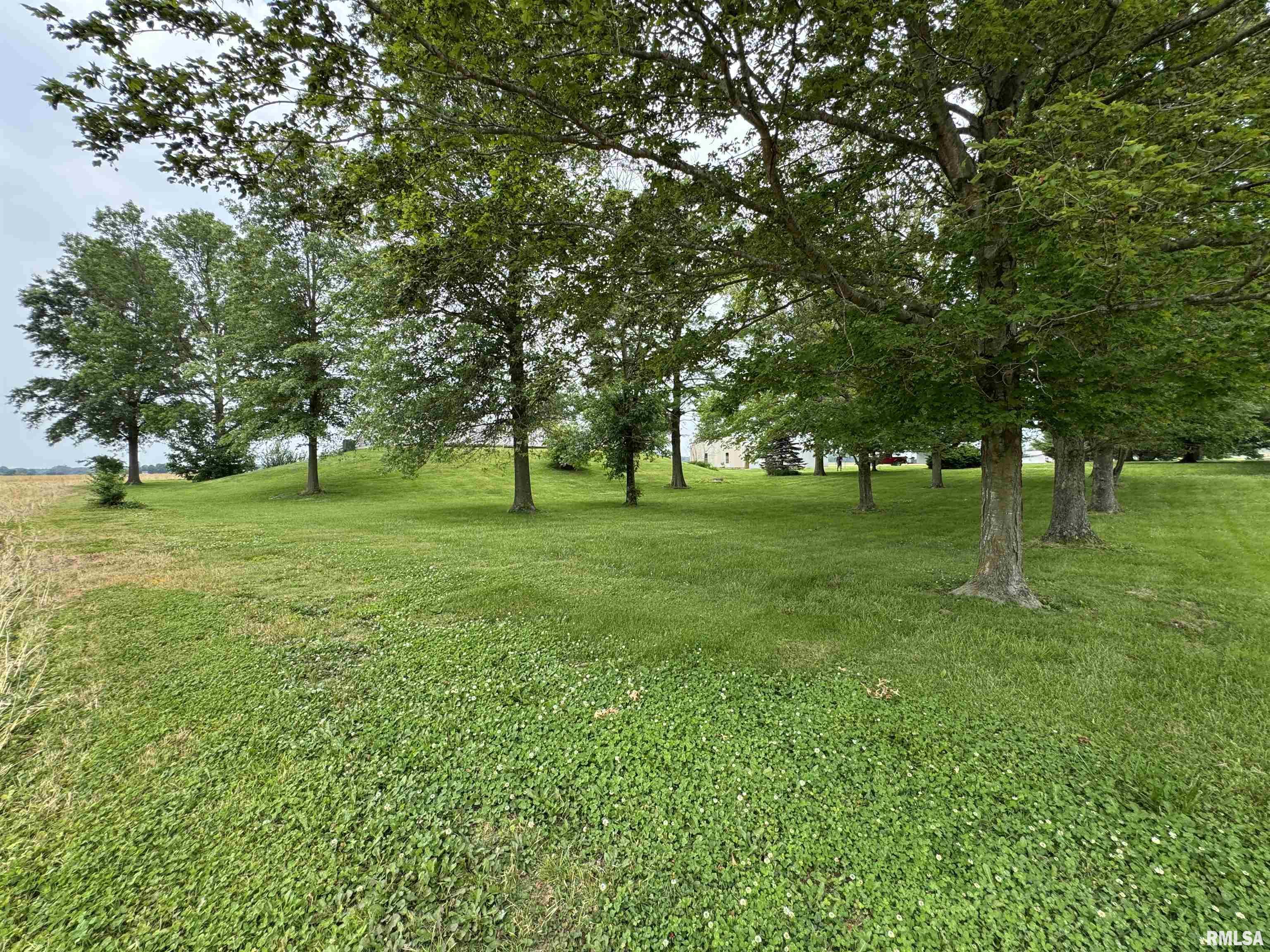 3100 Ava Road Murphysboro, IL 62966 - Photo 6 of 60