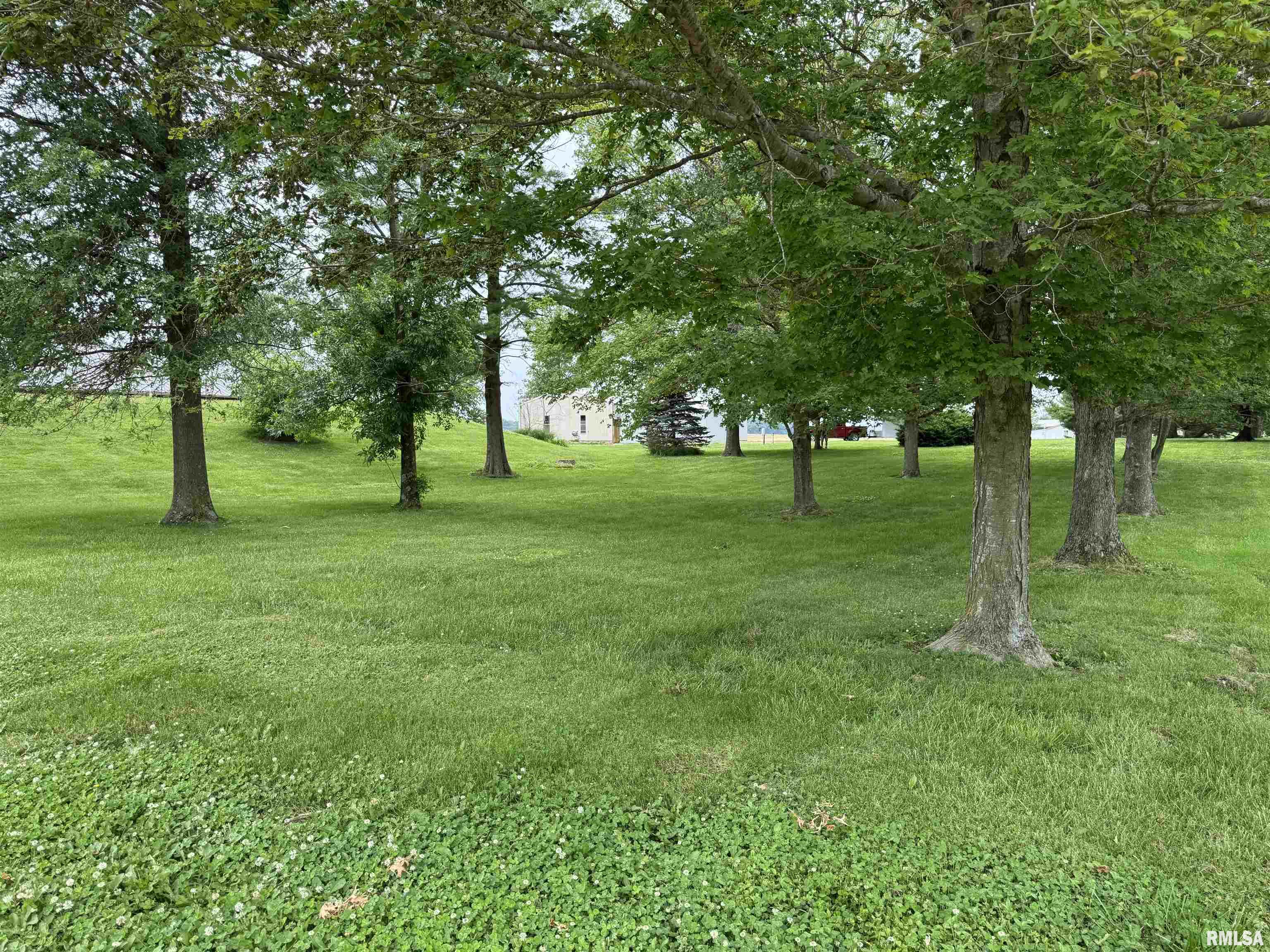 3100 Ava Road Murphysboro, IL 62966 - Photo 7 of 60