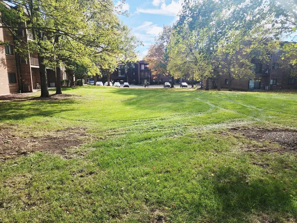 a view of a park with large trees