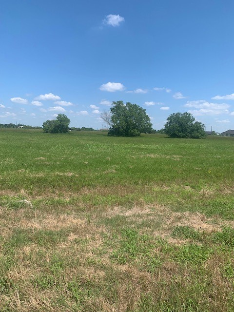 498 Brahman Trail Angleton, TX 77515 - Photo 5 of 11 a view of a field with sitting space
