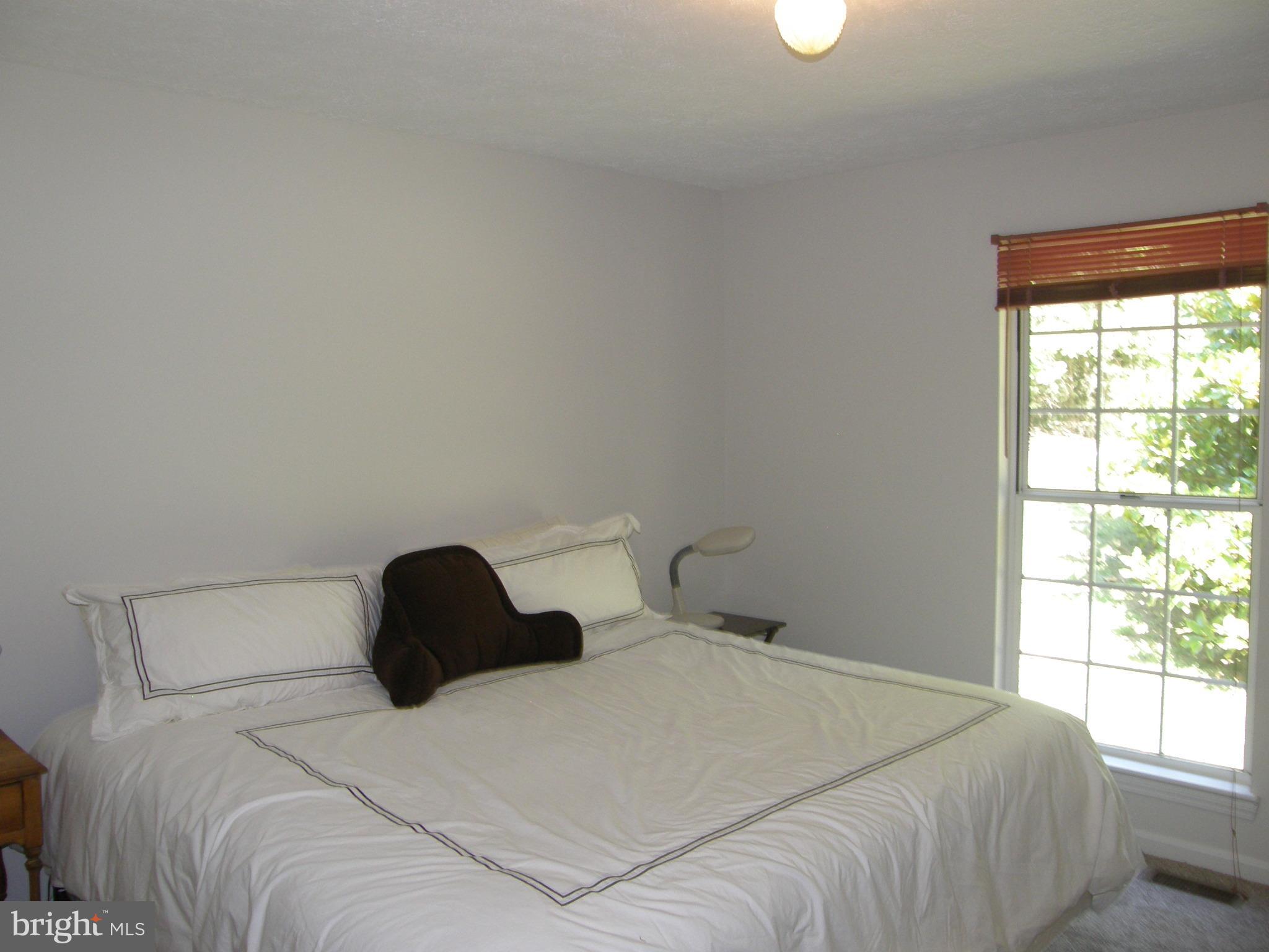 16096 Laurel Springs Road Culpeper, VA 22701 - Photo 11 of 30 Bedroom