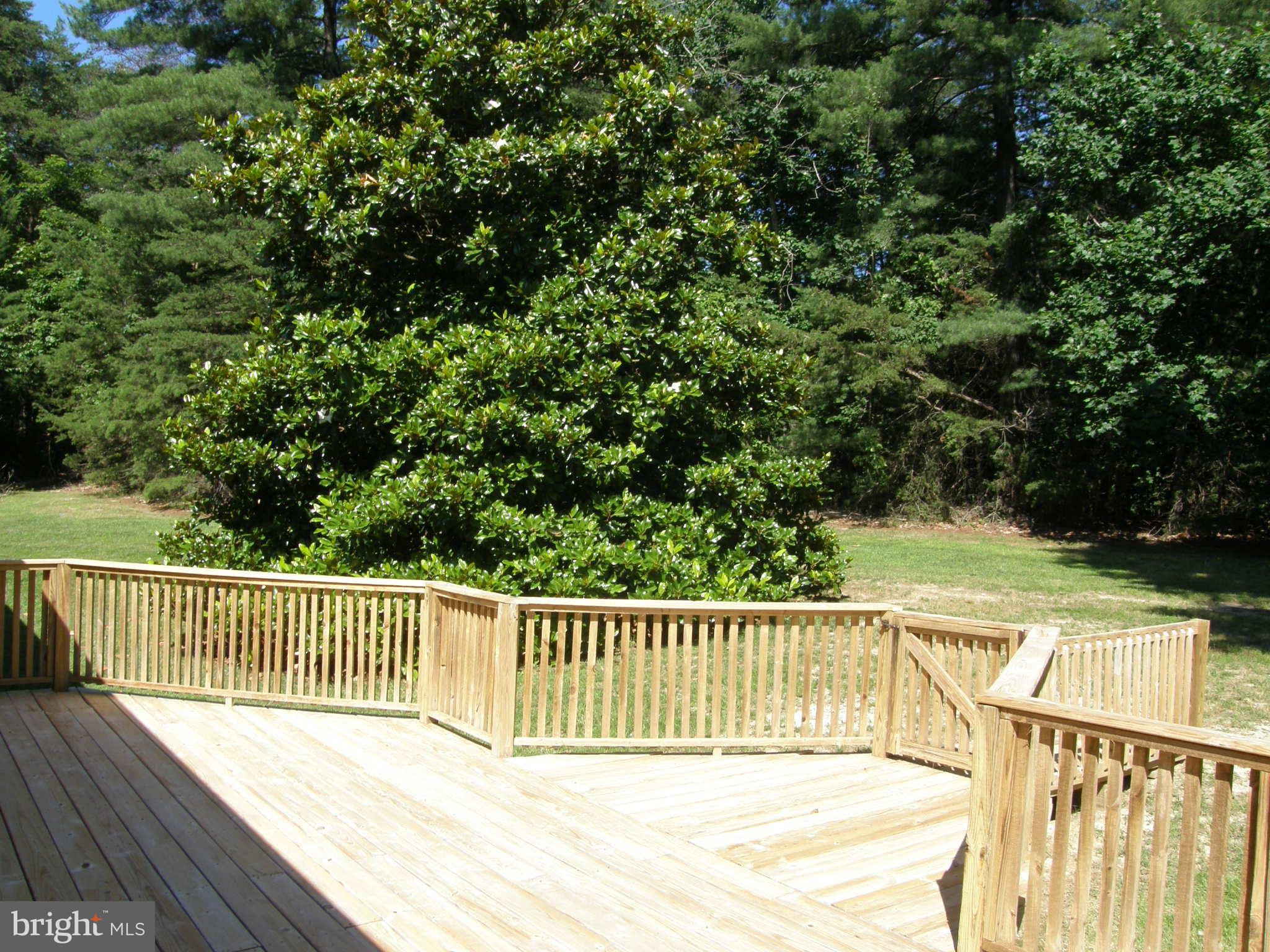 16096 Laurel Springs Road Culpeper, VA 22701 - Photo 25 of 30 Exterior (Rear)