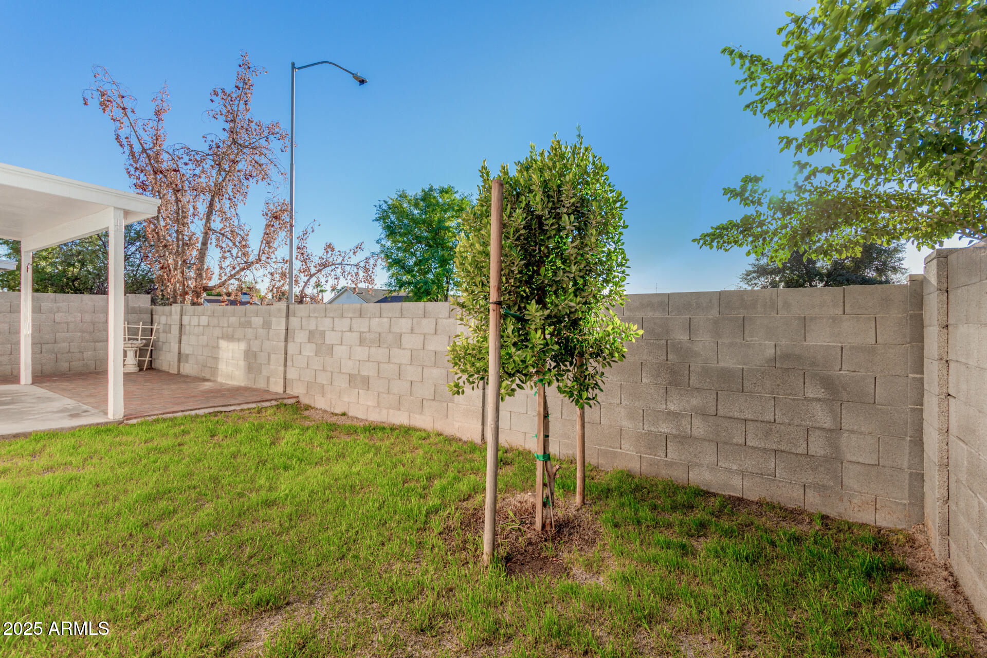 441 South Maple, Unit 13 Mesa, AZ 85206 - Photo 28 of 28 28 - Maple