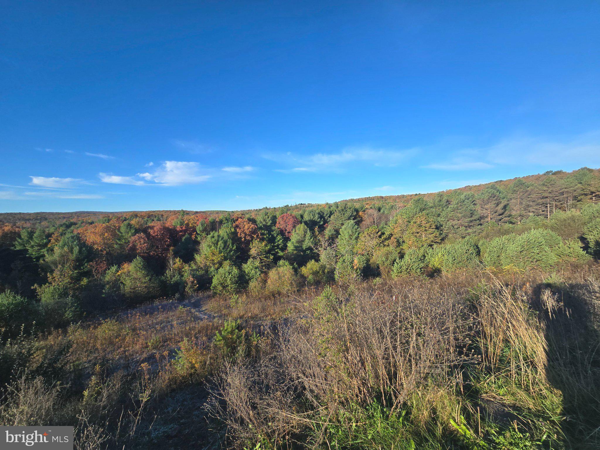 4081 Scootac Road Beech Creek, PA 16822 - Photo 1 of 84 Vibrant autumn hues under blue skies.