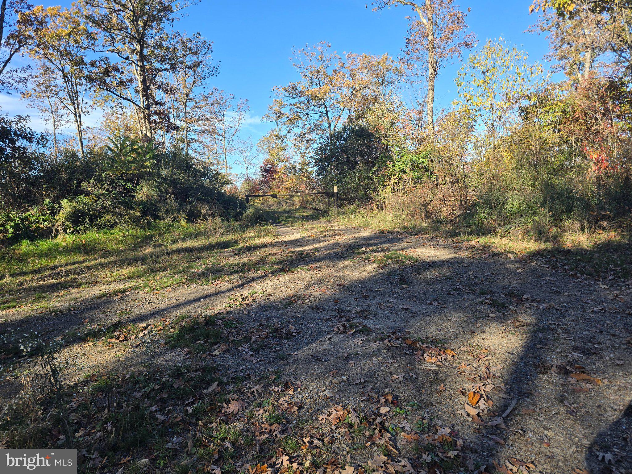 4081 Scootac Road Beech Creek, PA 16822 - Photo 3 of 46 a view of dirt yard with a large tree