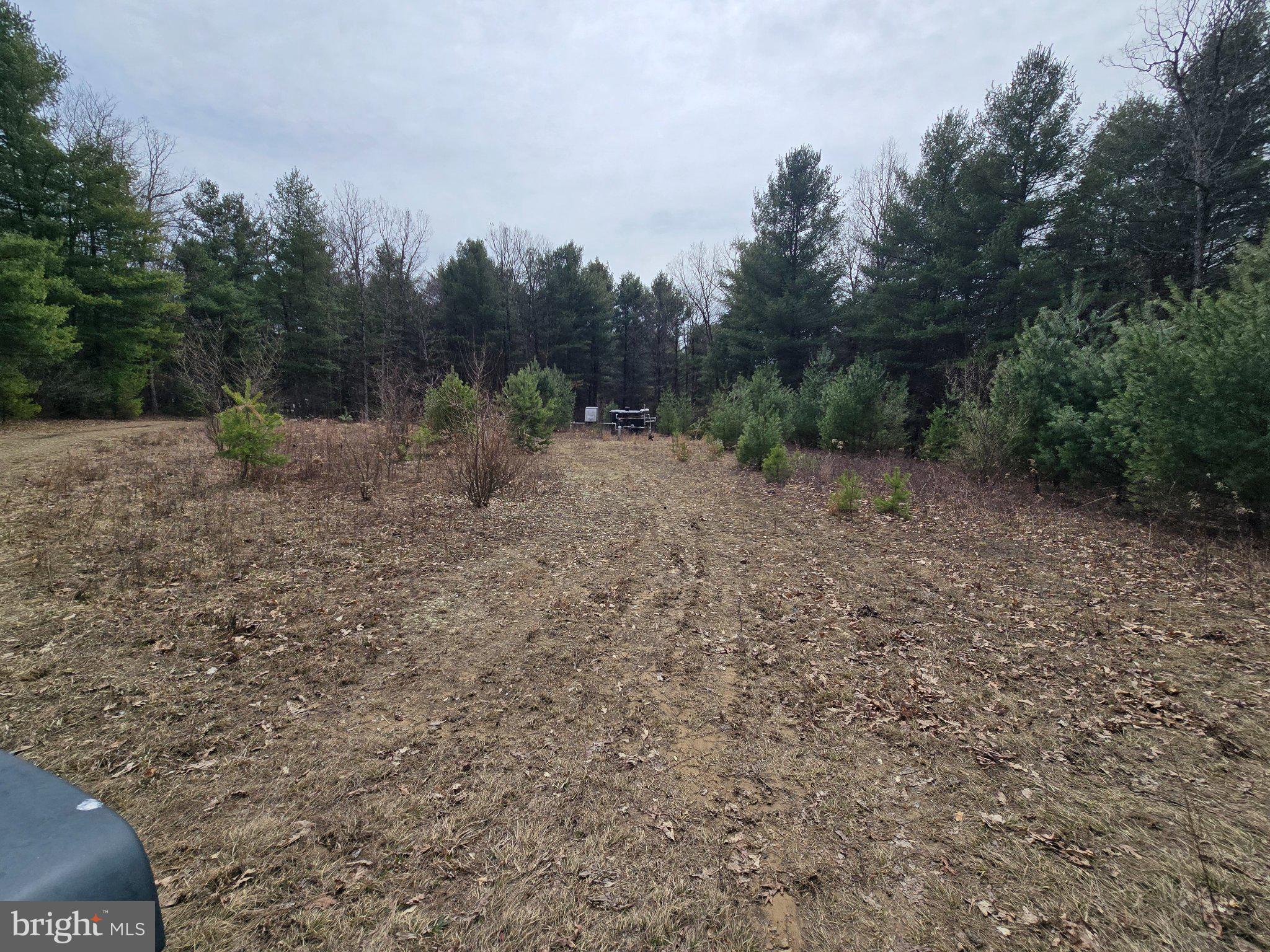 4081 Scootac Road Beech Creek, PA 16822 - Photo 41 of 46 a big yard with lots of green space and deers