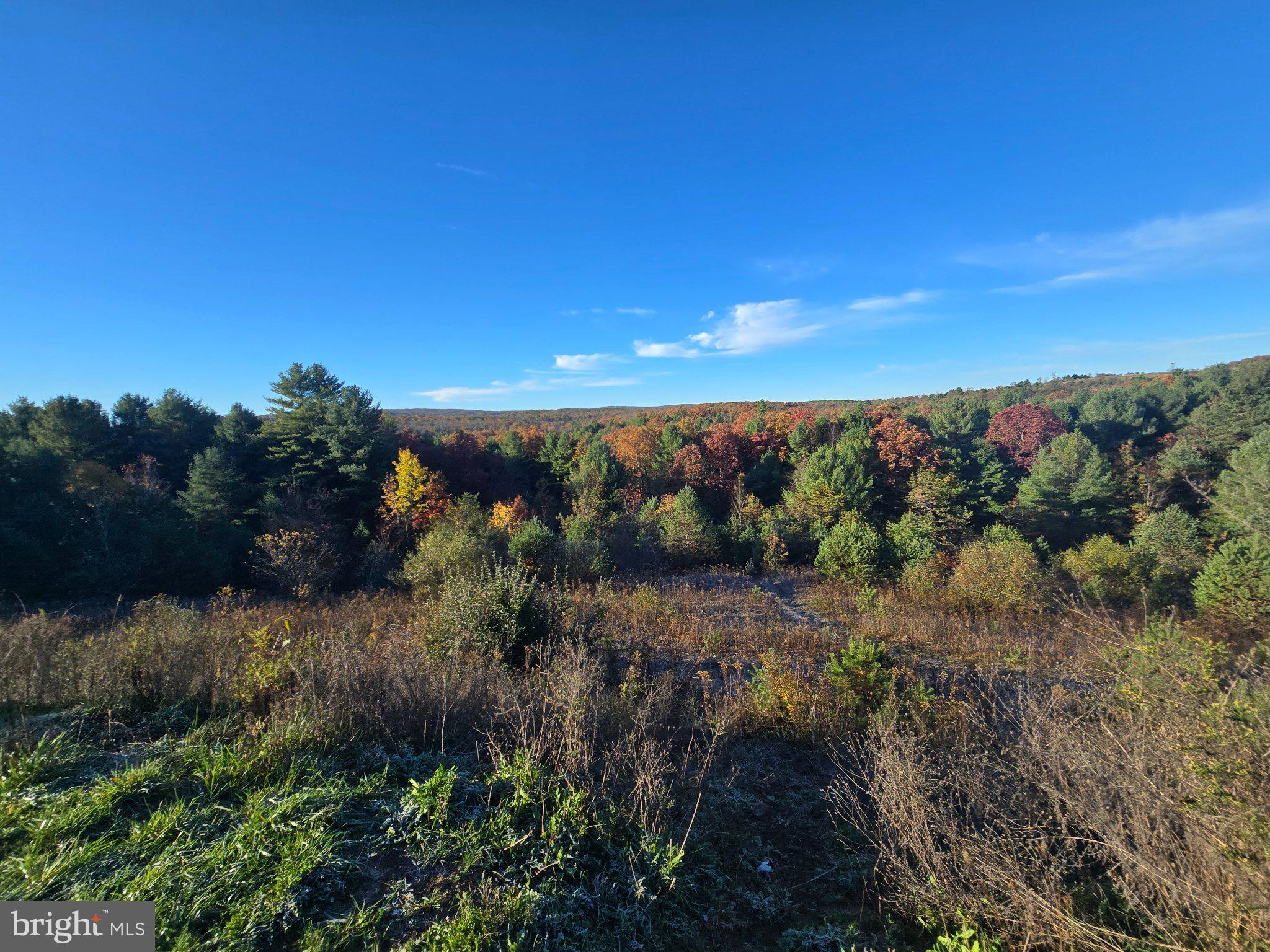 4081 Scootac Road Beech Creek, PA 16822 - Photo 10 of 46 a view of a yard