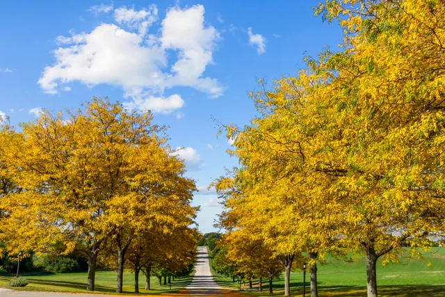 $1,950,000 | W5244 County Rd ES, Sugar Creek, WI 53121