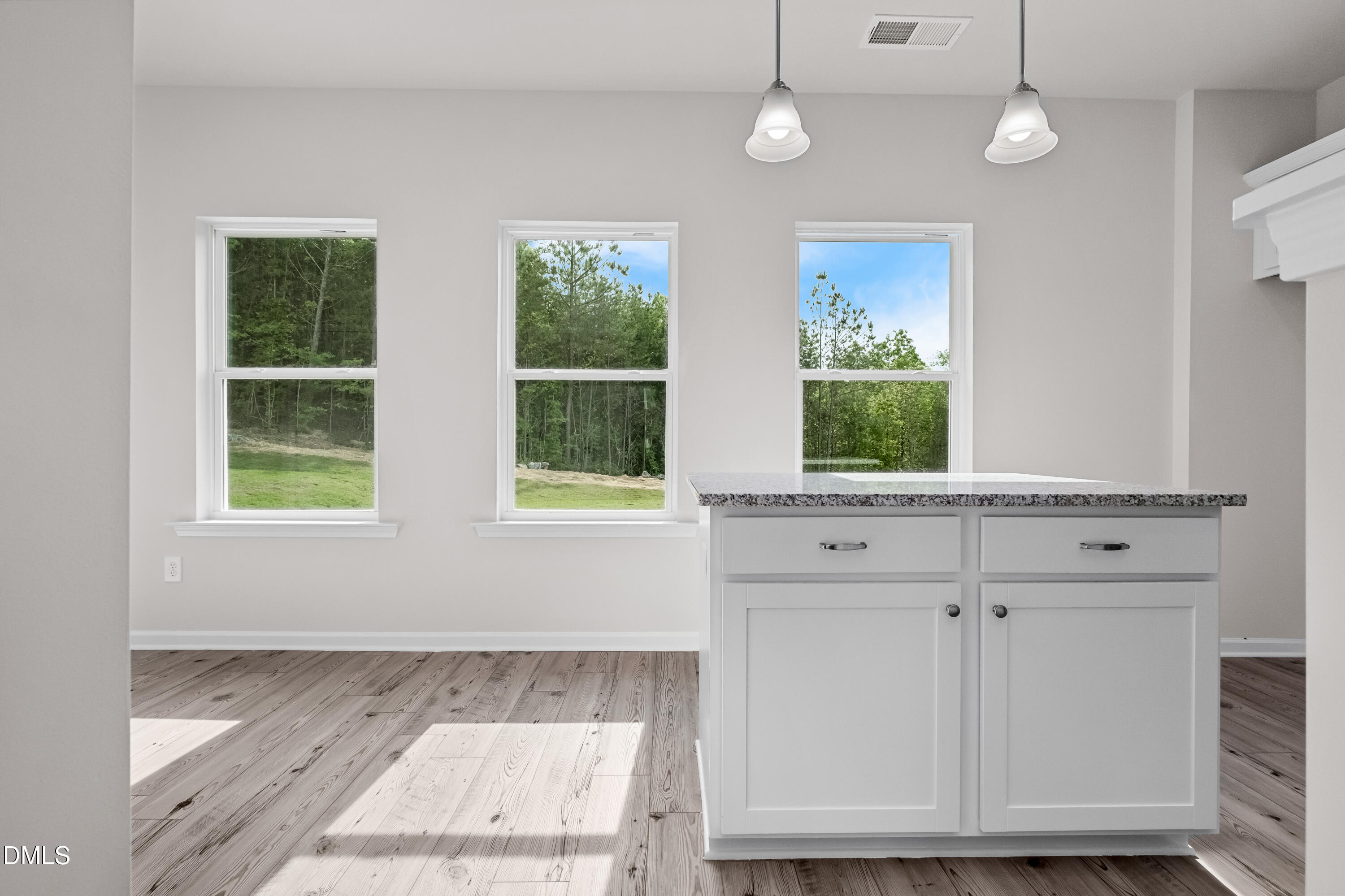 233 Courtside Drive Dunn, NC 28334 - Photo 2 of 29 an empty room with wooden floor cabinet and windows