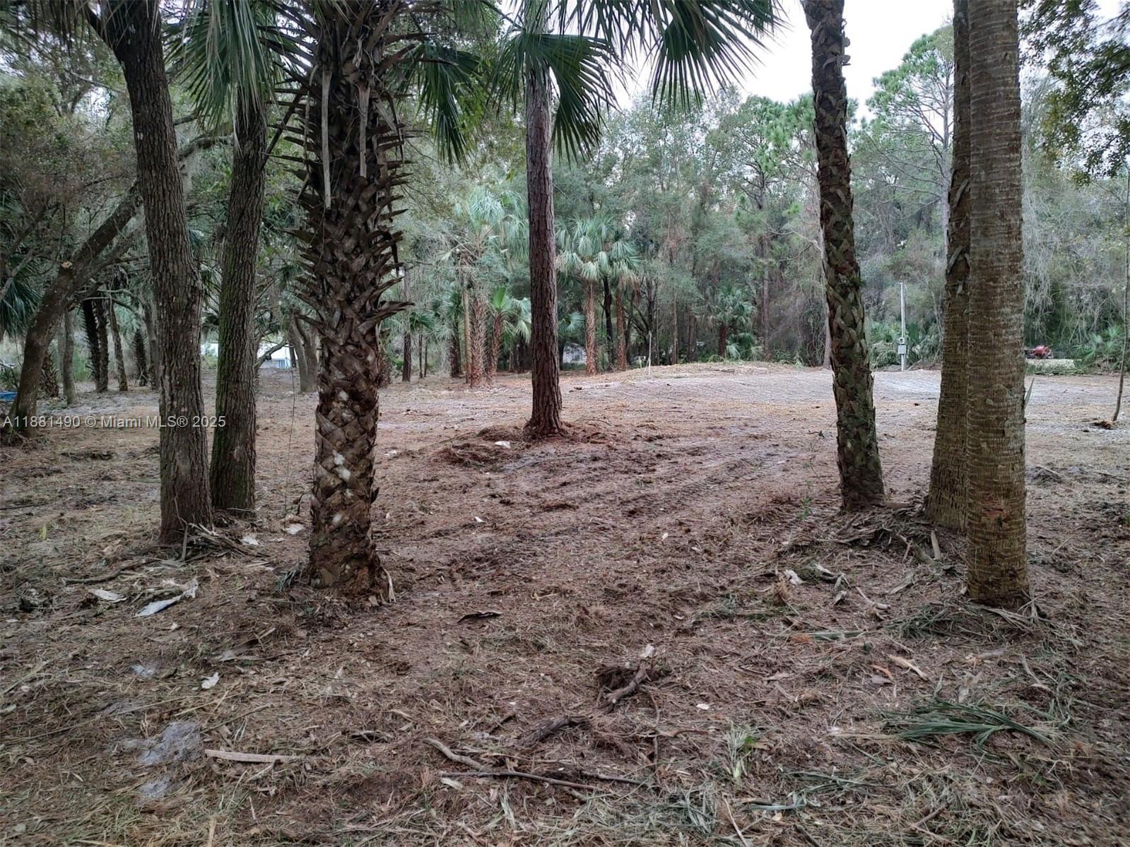 5770 Southeast 195th Place Inglis, FL 34449 - Photo 2 of 10 Lot cleaned 2 years ago