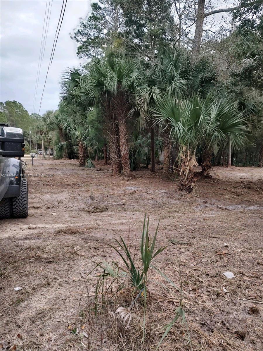 5770 Southeast 195th Place Inglis, FL 34449 - Photo 3 of 10 Lot cleaned 2 years ago