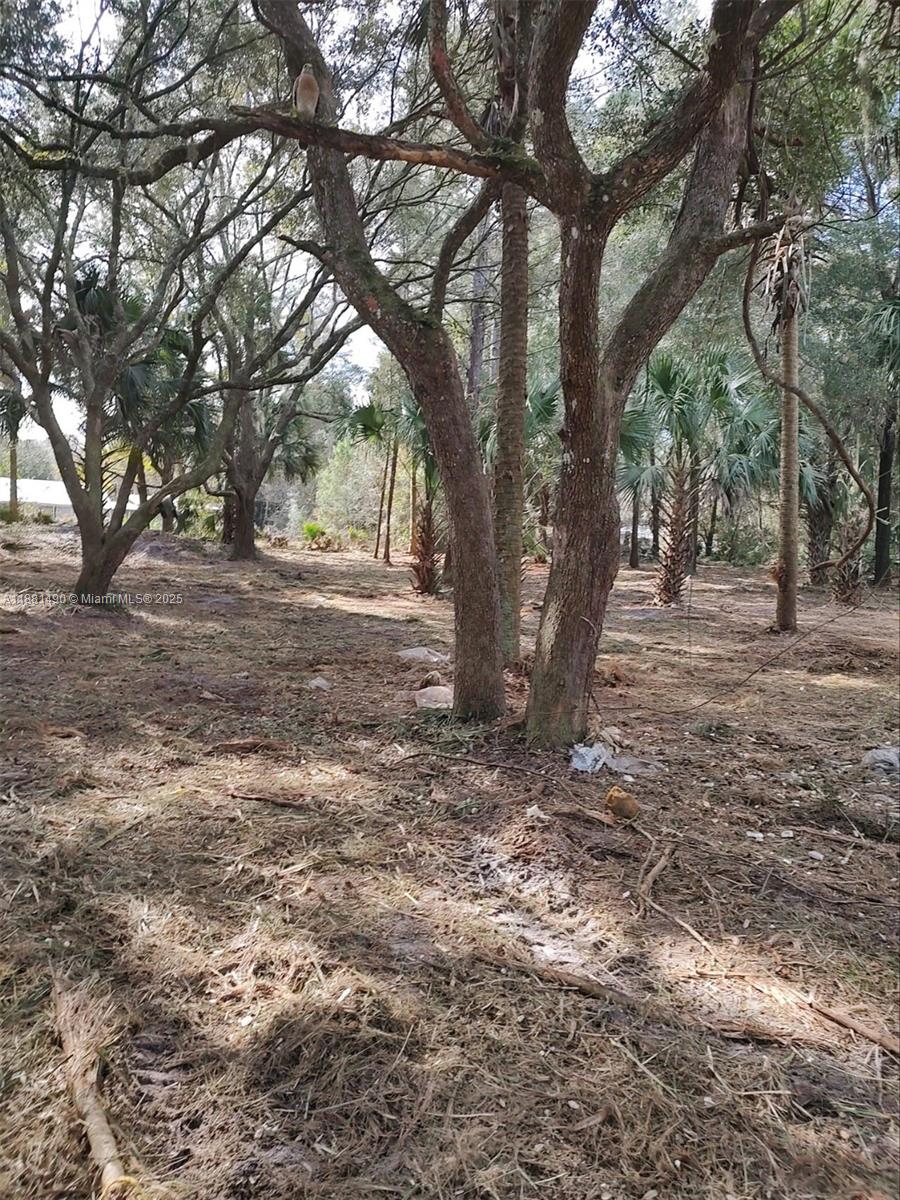 5770 Southeast 195th Place Inglis, FL 34449 - Photo 4 of 10 Lot cleaned 2 years ago