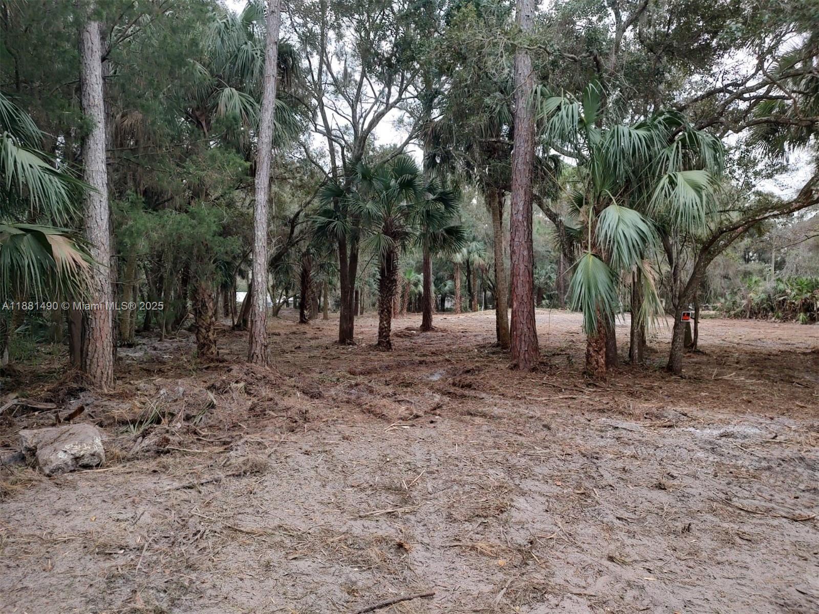 5770 Southeast 195th Place Inglis, FL 34449 - Photo 5 of 10 Lot cleaned 2 years ago