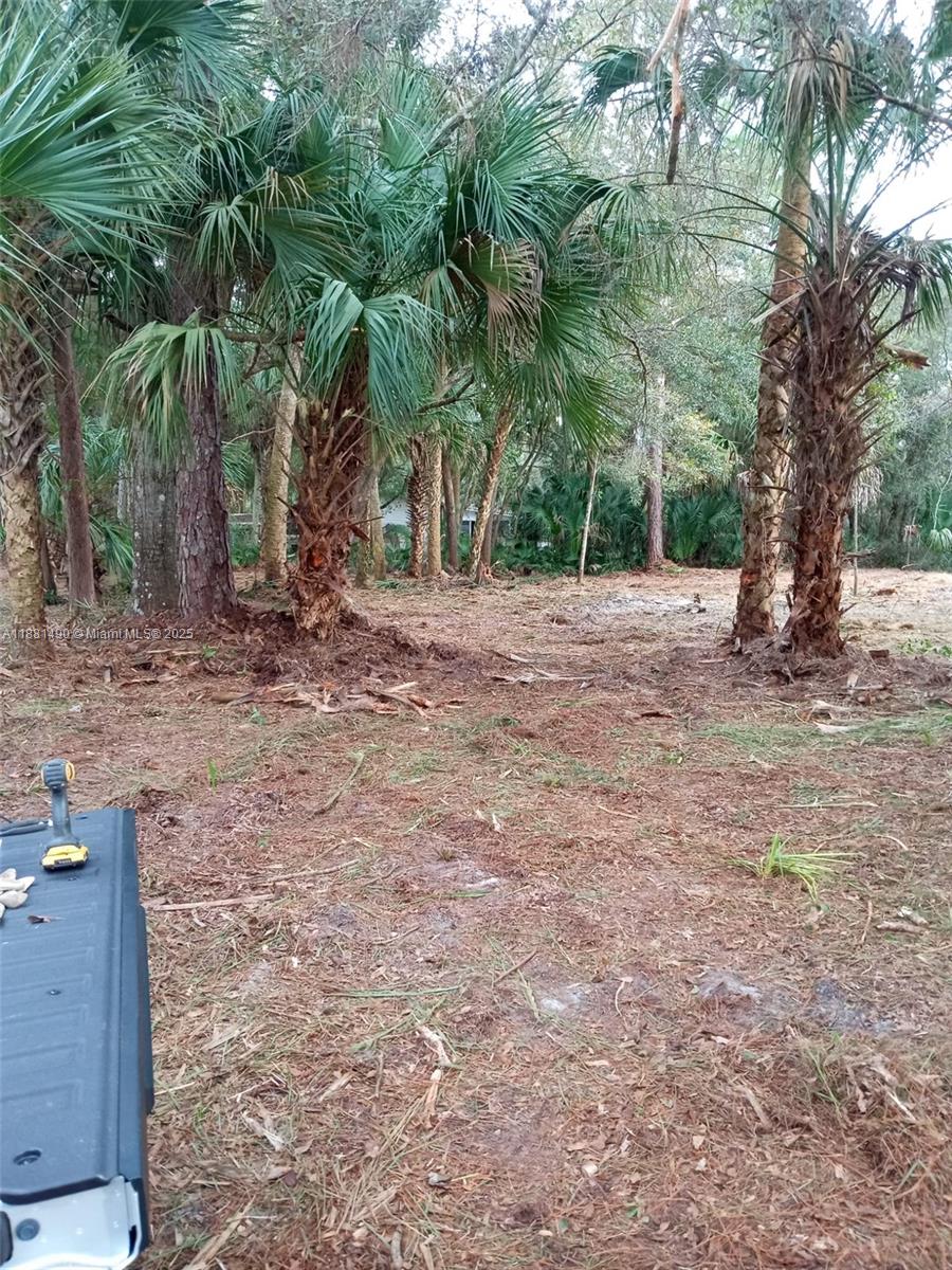 5770 Southeast 195th Place Inglis, FL 34449 - Photo 6 of 10 Lot cleaned 2 years ago