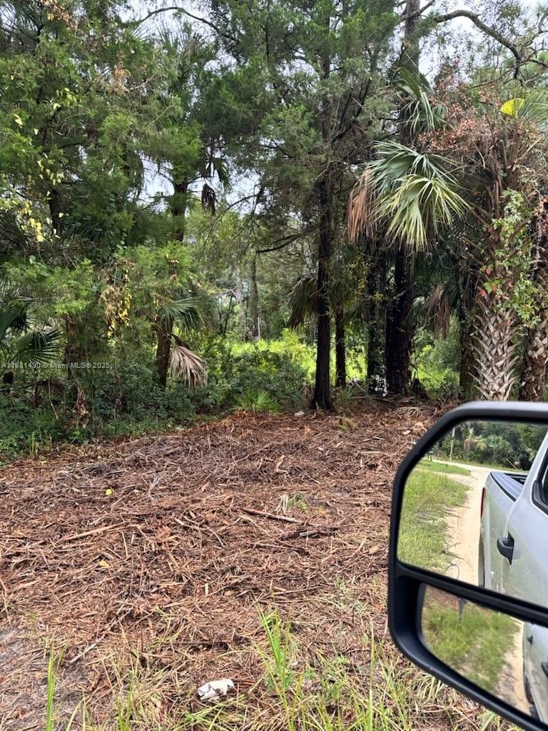 5770 Southeast 195th Place Inglis, FL 34449 - Photo 8 of 10 overgrowth since Lot cleaned 2 years ago