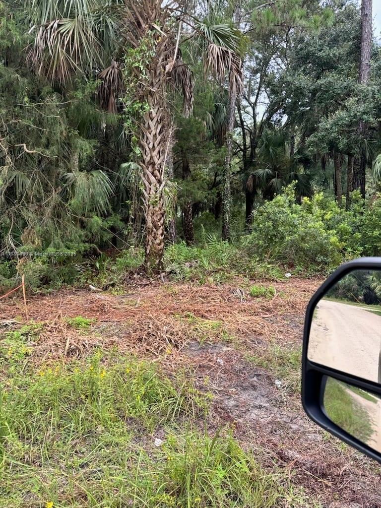 5770 Southeast 195th Place Inglis, FL 34449 - Photo 9 of 10 overgrowth since Lot cleaned 2 years ago