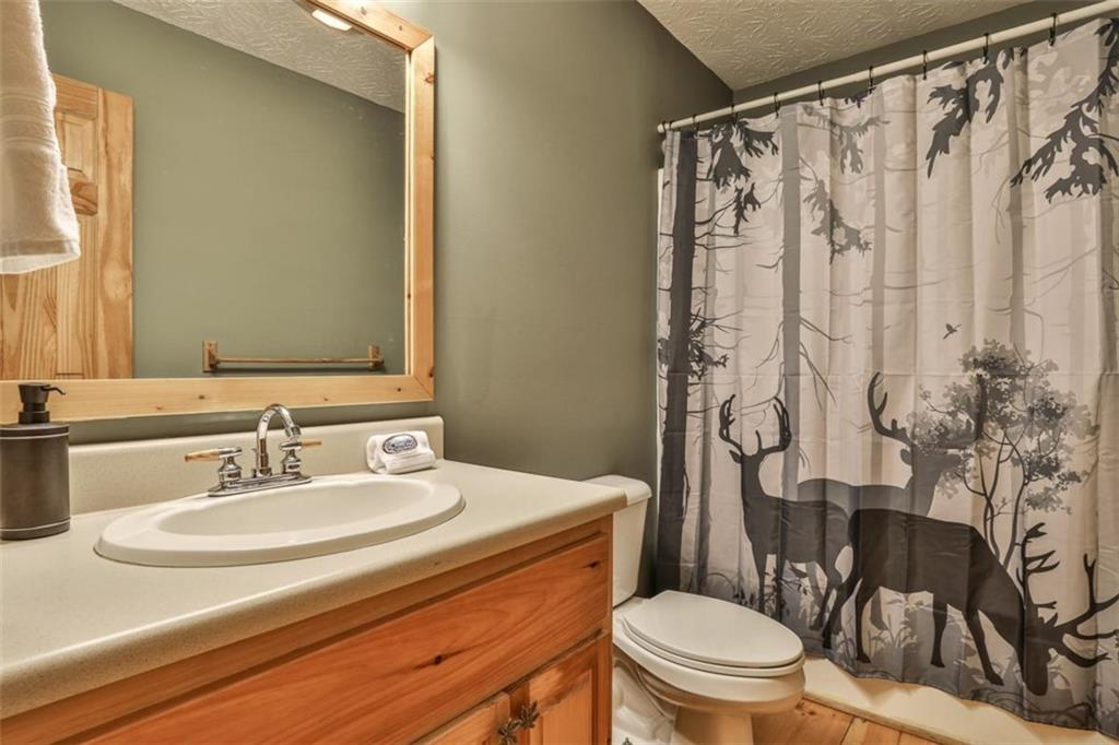 178 Novena Court Ellijay, GA 30540 - Photo 34 of 88 a bathroom with a sink toilet and shower