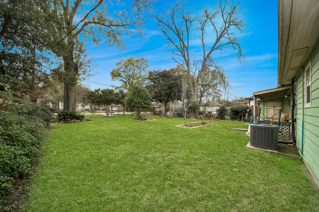 a view of backyard with tree