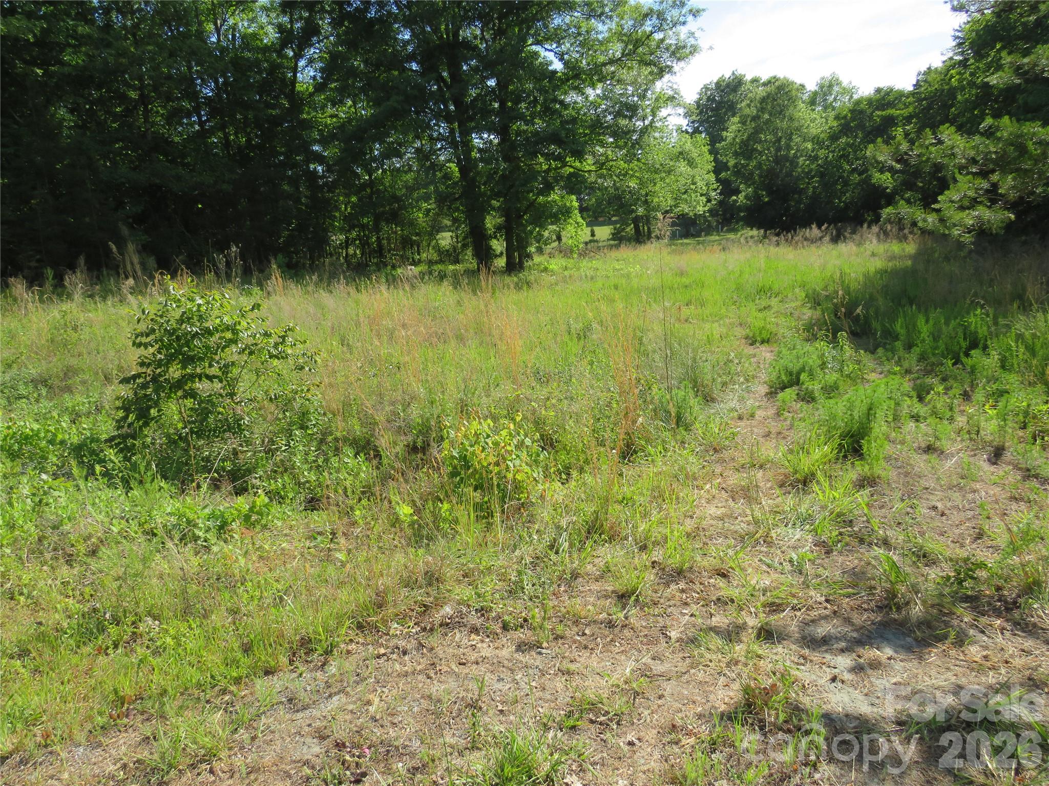 0 Blue Sapphire Lane Rutherfordton, NC 28139 - Photo 20 of 25
