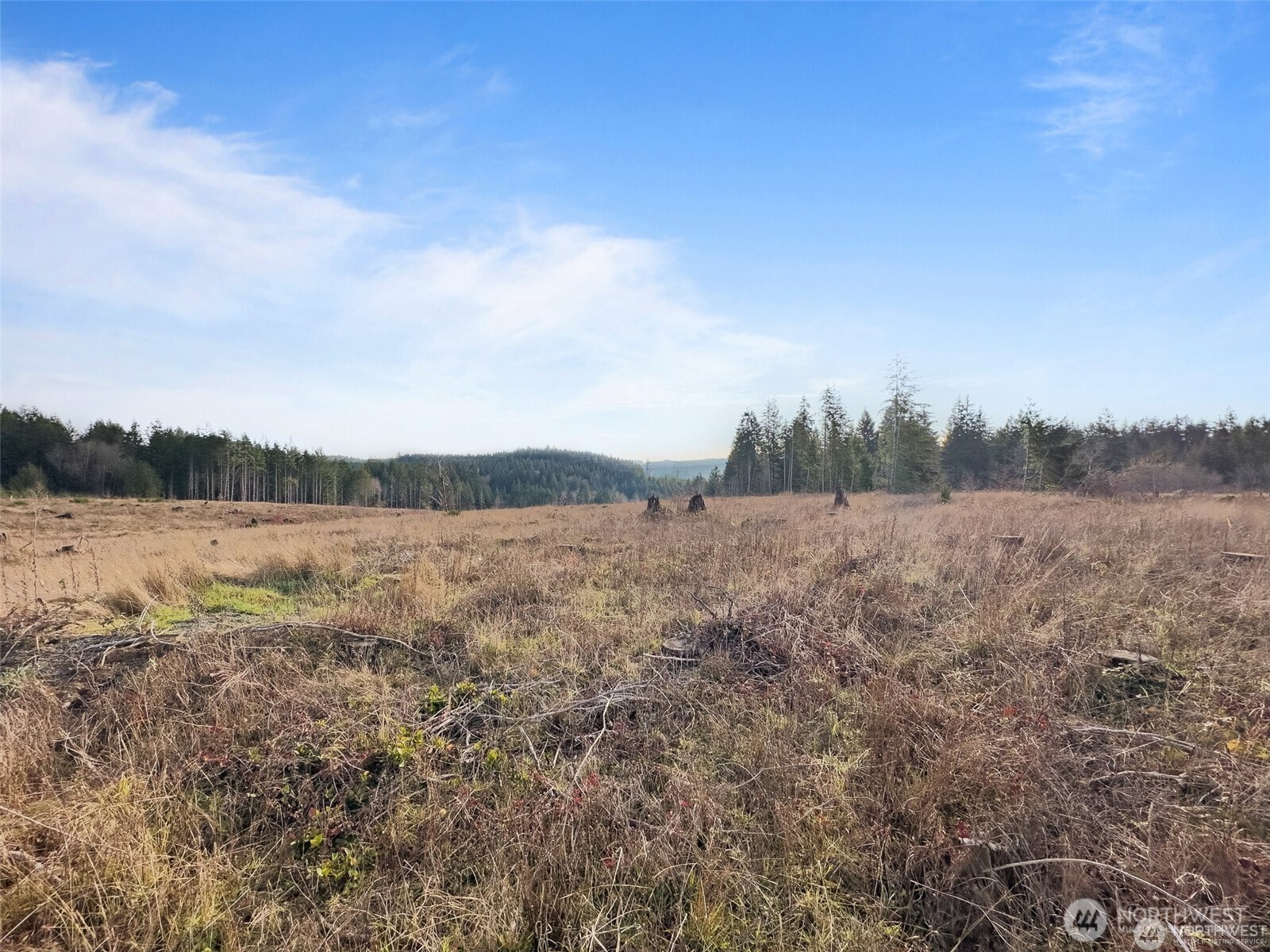 607 Brown Chehalis, WA 98532 - Photo 20 of 31 a view of lake with mountain in background