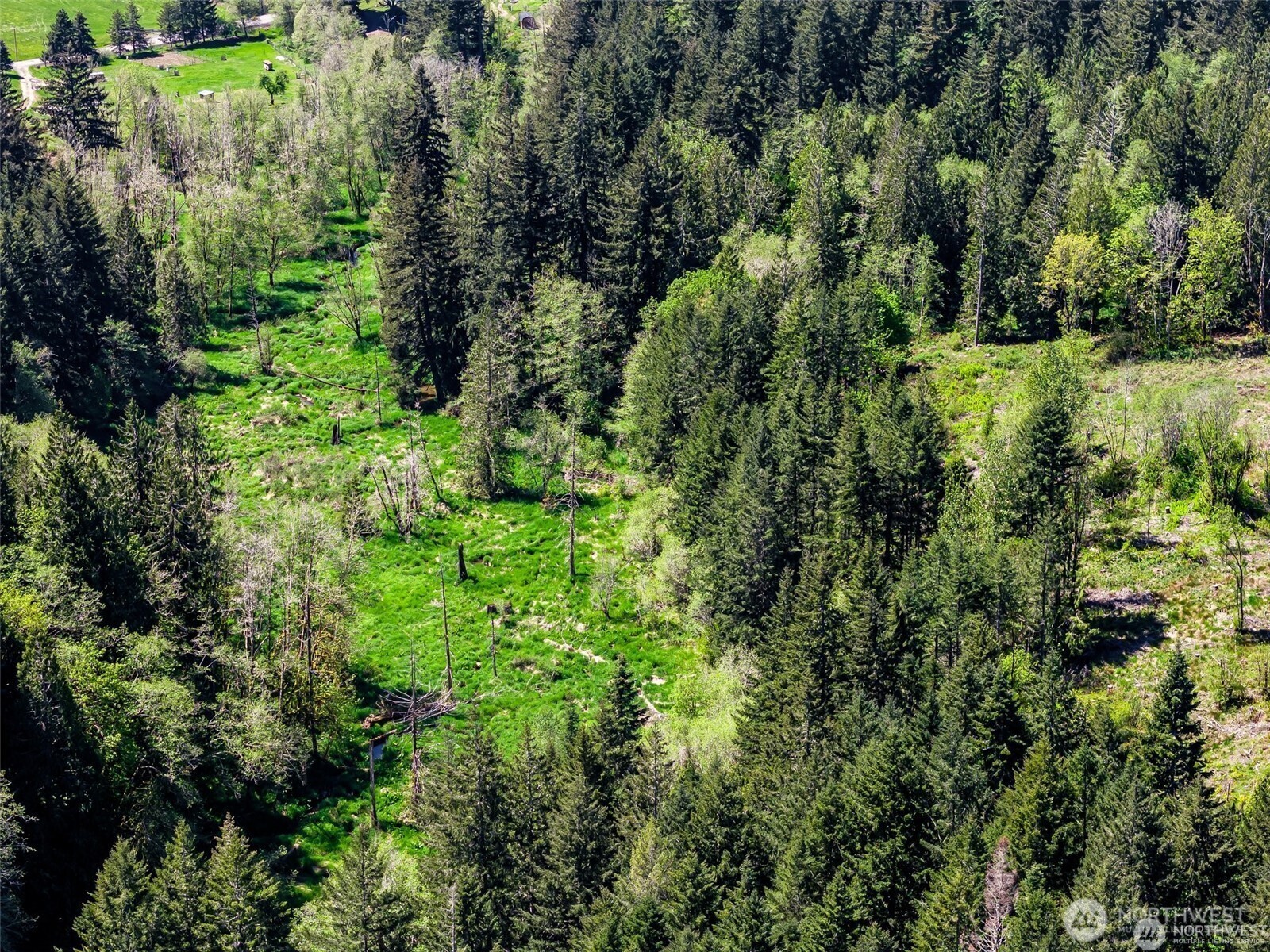 607 Brown Chehalis, WA 98532 - Photo 23 of 31 an aerial view of residential house with outdoor space and trees all around